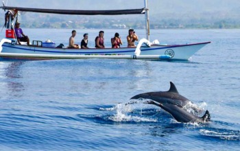 Paket Tour Lovina Bali