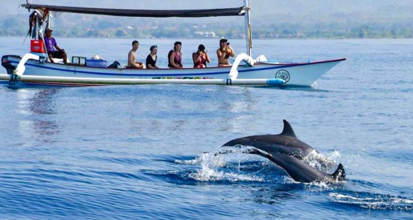 Paket Tour Lovina Bali