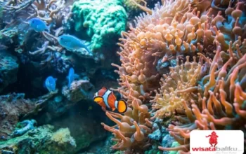 paket adventure bali