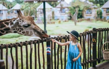 Tourist Attractions Near Bali Zoo