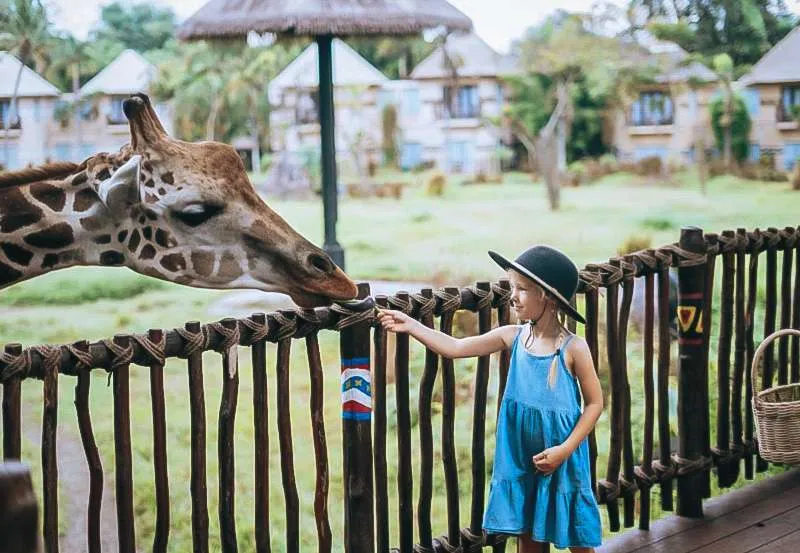 Tourist Attractions Near Bali Zoo