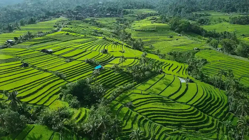 Jatiluwih Parallel Tourist Attractions