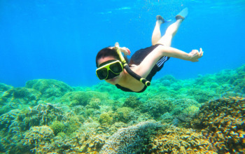 Biaya Snorkeling di Pulau Menjangan