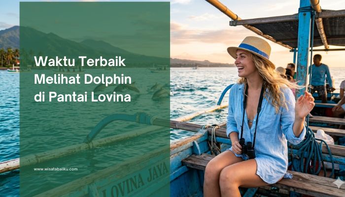 Waktu Terbaik Melihat Dolphin di Pantai Lovina Bali