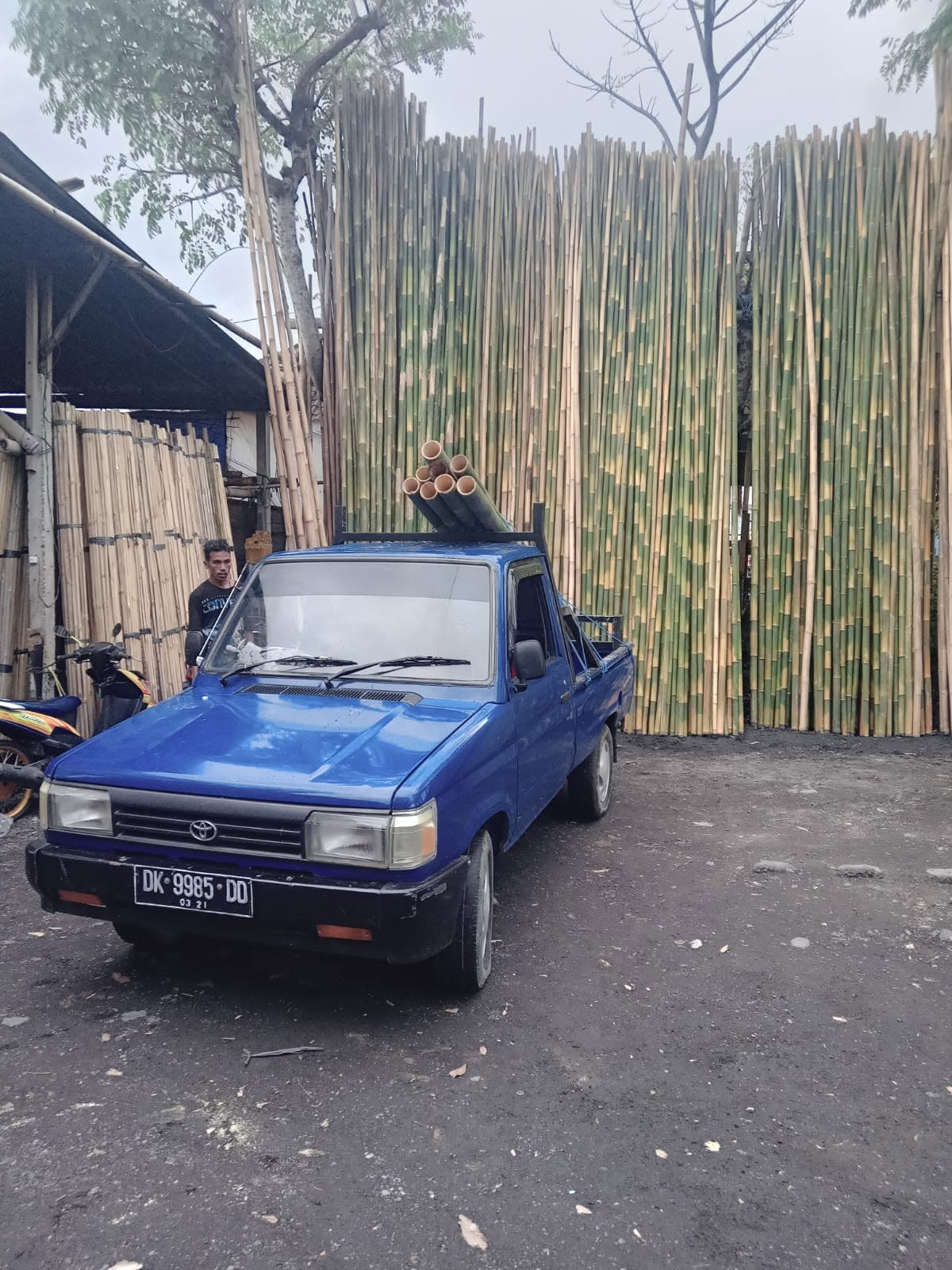 Jual Bambu Tali Denpasar