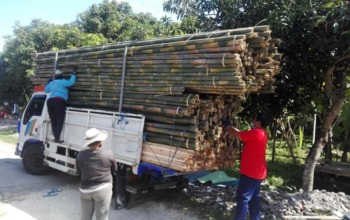 Jual Bambu Denpasar