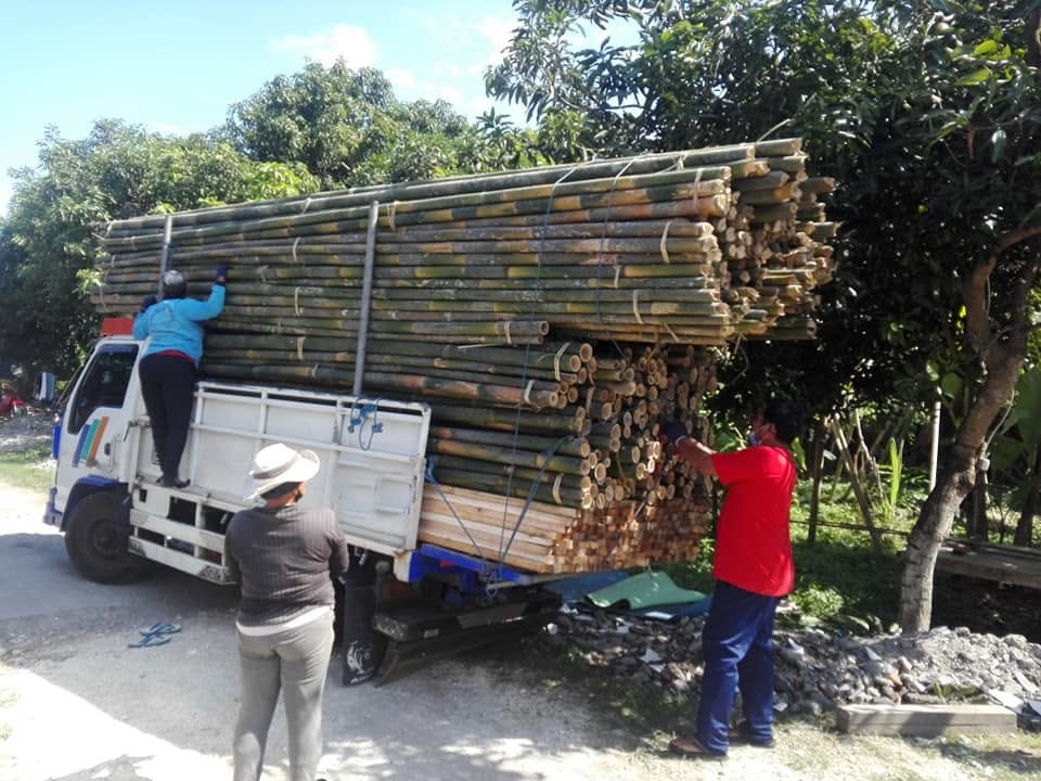 Jual Bambu Denpasar